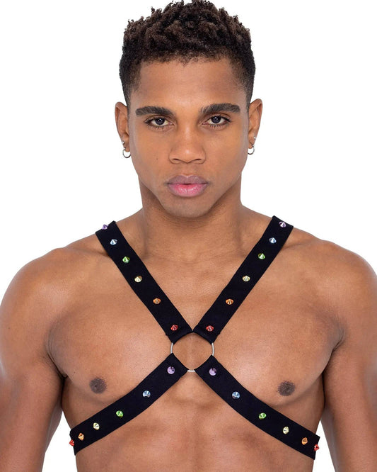 6337 - Mens Pride Harness Eye Candy Sensation