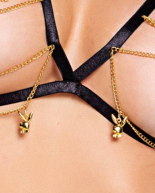 PBLI133 - Playboy Charm X-Rated 2-Piece Set Roma Confidential